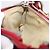 Chloé Chloe Accessory Pouch Leather Red Gold Silver Auth mr2868A Silvery Golden - view 24