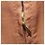 Valigia LOUIS VUITTON Monogram Pegas 55 M23294 LV Auth 197915V Monogramma - vista 29