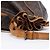 Borsa a tracolla Louis Vuitton Noe Monogram Canvas in Brown M42224 Marrone - vista 10