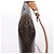 Louis Vuitton Pochette Accessoire Monogram Canvas Handbag in Brown M51980 Marrone - vista 8
