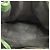 Borsa a tracolla Louis Vuitton Epi Noe in Borneo Green - vista 4