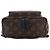 Louis Vuitton Brown Monogram Palm Springs PM Marrone - vista 3