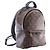 Louis Vuitton Brown Monogram Palm Springs PM Marrone - vista 8