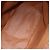 Céline CELINE Macadam Canvas Backpack PVC Leather Brown Gold - vista 11