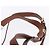 Céline CELINE Macadam Canvas Backpack PVC Leather Brown Gold - vista 14