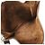 Hermès Borsa a tracolla Hermes Evelyne 2GM Marrone - vista 4