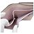 Portafoglio bi-fold da donna Fendi in pelle rosa - vista 7