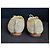 Ballerine Chanel in Tweed Beige D'oro - vista 10