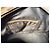 Mulberry Maisie Clipper Borsa a mano Marrone - vista 10