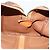 Céline CELINE Macadam Boston Bag PVC Leather Brown Gold Tone - vista 19