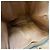 Céline Borsa a tracolla Triomphe Macadam Brown (Top Quality) Marrone - vista 15