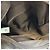 Borsa Tote 2WAY Chanel Nera in Jacquard di Nylon Nero - vista 19