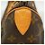 Borsa Louis Vuitton Monogram Speedy 25 Marrone - vista 5