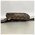 Borsa a tracolla Louis Vuitton Damier Geronimos Damier ebene - vista 3
