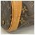Borsa Tote Louis Vuitton Monogram Bucket PM Marrone - vista 6