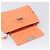 Salvatore Ferragamo Sofia Gancini Tasche Leder 2way Orange Silver Auth 199221V Silber - Ansicht 20