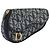 Pouch Saddle Christian Dior Trotter Canvas Navy Gold Auth 199475 D'oro Blu navy
