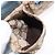 Borsello da vita GUCCI GG Canvas Sherry Line Outlet Beige Silver 162962 Auth 200345A Argento - vista 23