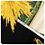 Foulard di seta Hermès Sanssoucy Nero 90 Scarves - vista 3
