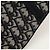 Christian Dior Uma mala de cintura que apresenta o icónico padrão jacquard Oblique da Dior e o design de aba distintivamente icónico da linha Saddle. Fabricada num material de lona leve e resistente, é resistente a manchas quotidianas e - vista 3