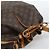 LOUIS VUITTON Monogram Petit Noe Shoulder Bag M42226 LV - vista 6