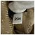 PRADA 1TT200 Mini Pouch with Wristlet Beige - Ansicht 15
