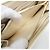 Céline Celine Large Zipped Wallet mit Arc de Triomphe Motiv Roh - Ansicht 5