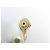 NEUER EINZELNER DIOR CD OHRRING PERLE STRASS GOLDFARBENES METALL Golden - Ansicht 7