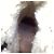 Stivali UGG Desoto Tall Fringed in camoscio marrone - vista 8
