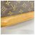 Bolso Louis Vuitton Monogram Amazon Castaño - vista 9
