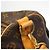 Louis Vuitton Brown Boston Monogram Keepall Bandoulière 55 Marrone - vista 9