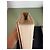 Borsa a tracolla Saint Laurent Kate Monogram in pelle grana beige - vista 12