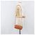 Borsa a tracolla Miu Miu in pelle goffrata marrone oro Auth 199420A D'oro - vista 22