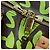 LOUIS VUITTON Graffiti Keepall 50 Boston Bag Vert M93700 LV Auth yk20877SM Verde chiaro Monogramma - vista 20