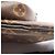 Louis Vuitton Christopher Bumbag Monogram Macassar Marrone Nero - vista 8