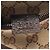 Borsello da vita Gucci GG Canvas Marrone Beige - vista 4