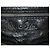 Borsa Hogan in pelle verniciata Nero Verde scuro - vista 3