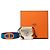 Cintura reversibile Hermès Chain de Ancre in Swift ed Epsom Viola Porpora - vista 7