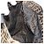 FENDI Zucca Canvas Hand Bag Brown - vista 17