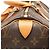 Louis Vuitton Brown Monogram Speedy 30 Marrone - vista 5