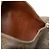 Louis Vuitton Brown Monogram Papillon 26 Marrone - vista 6