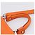Borsa Salvatore Ferragamo Sofia Gancini in pelle 2way Orange Silver Auth 201941A Argento Arancione - vista 8