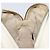 Borsa a tracolla GUCCI in pelle White Gold 308364 Auth 200987V Bianco D'oro - vista 20