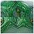 Hermès Borsa HERMES Birkin 25 in Pelli esotiche Verde - 103879 - vista 12