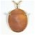 Autre Marque Collana in oro giallo 18K con cammeo in conchiglia D'oro - vista 3