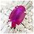 Autre Marque Platin-Bandring mit Rubin und Diamant - Ansicht 2
