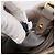 Borsa a mano Miu Miu in pelle 2way Grigio Tono Oro Auth 167574V Marrone - vista 11