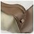 Céline CELINE Luggage Mini Shopper Hand Bag Leather Brown Gold Tone Auth 199523A Marrone - vista 17