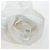 Camicia intera FENDI Zucca Canvas White Auth 193726M Bianco - vista 19
