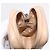 CHANEL Cambon Line Matelasse Pitillera Cuero Beige CC Auth 200101 - vista 17